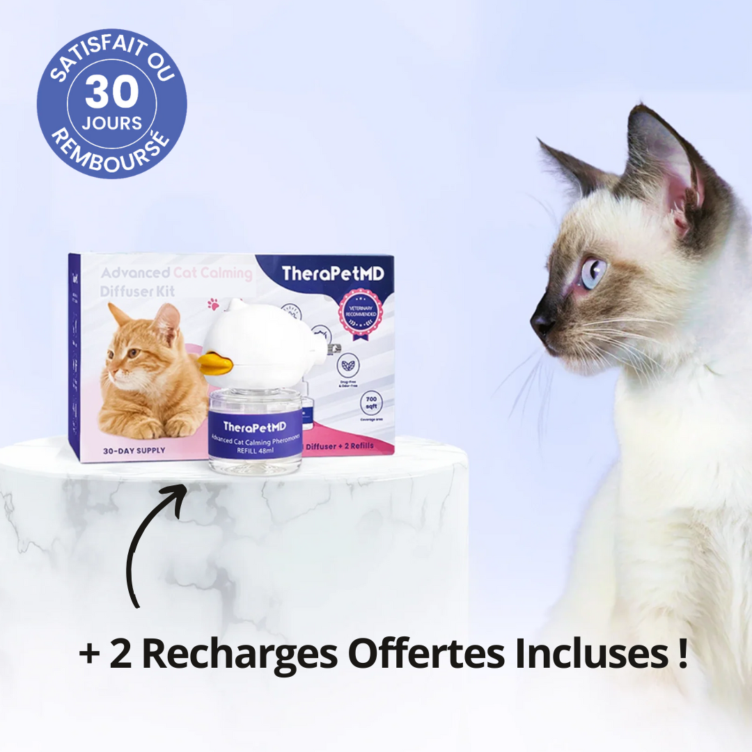 Éliminez Les Pipis Et L’Anxiété Des Chiens Avec Une Solution Scientifiquement Prouvée!